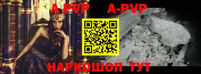 a pvp Обь