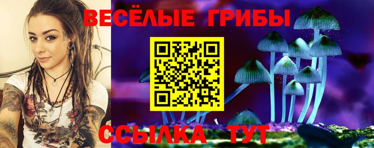 Дюртюли  Галлюциногенные грибы Magic Shrooms  Вход с VPN  Псилоцибиновые грибы Cubensis 